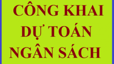 Quyết định số 219/QĐ-UBND ngày 24/12/2024 của UBND xã công khai dự toán thu chi ngân sách 2025 (trình HĐND phê duyệt)