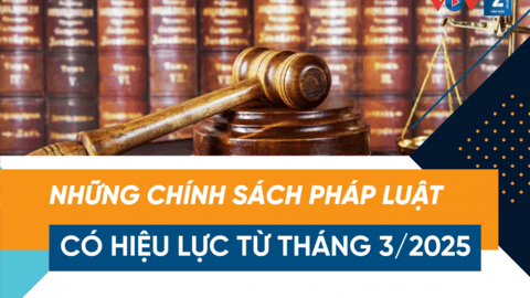 Chính sách mới có hiệu lực tháng 3/2025