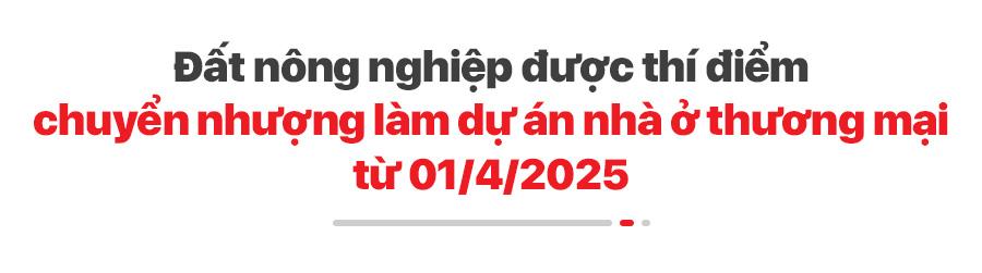 Chính sách mới có hiệu lực tháng 4/2025 Chính sách mới có hiệu lực tháng 4/2025